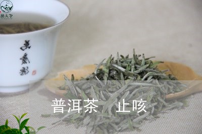 普洱茶 止咳/2023042893855